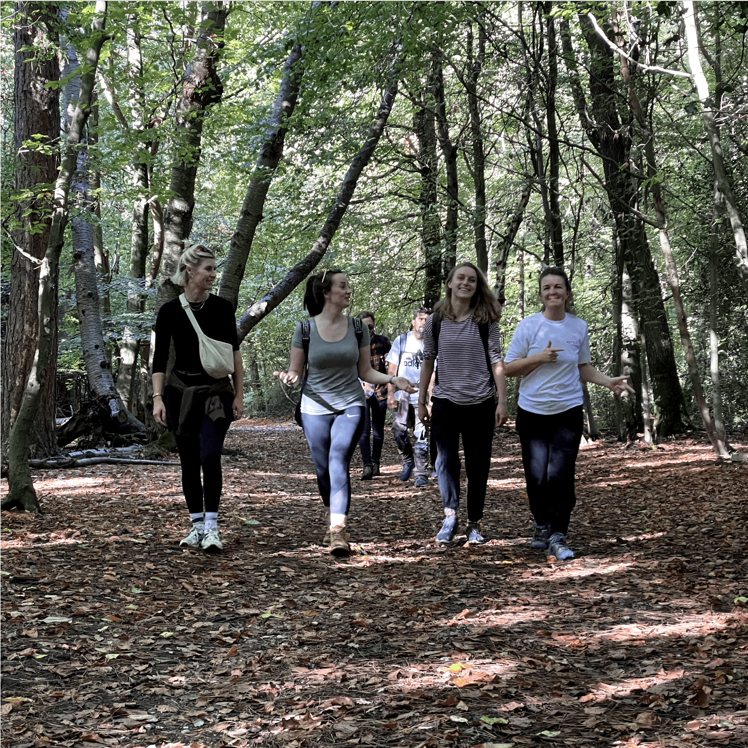 Members of the team walking in a forest
